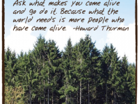 Ask what makes you come alive
