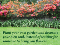 Best Relationship Advice Ever: 2. Plant Your Own Garden