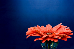 10 Tips For Simplifying Your Life