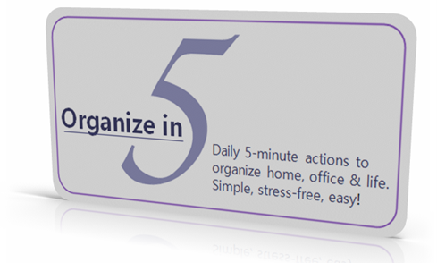 Organize Your Life in Just  5 Minutes a Day!