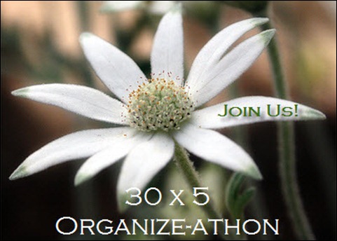 30-Day Organize-athon - Change Your Life in 5 minutes a day