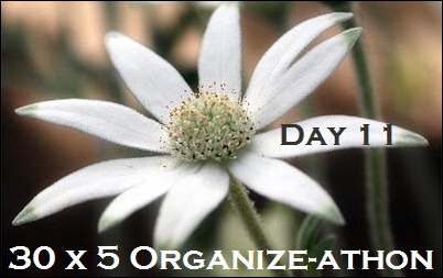 30 Day Organize athon 11