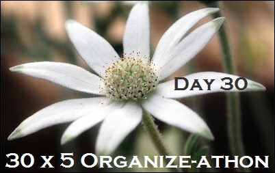 30 Day Organize athon 30