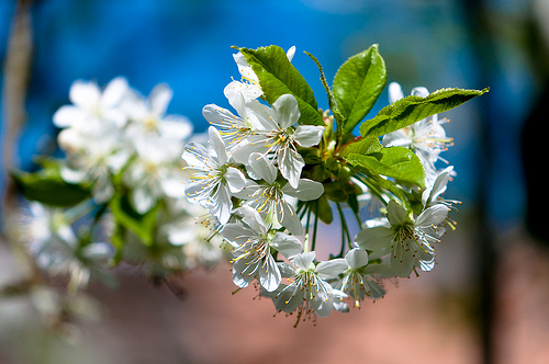 Get Organized and Declutter for Spring