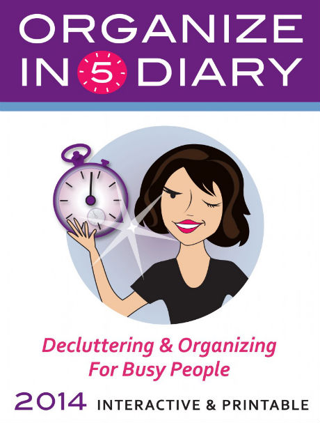 Organize In 5 Diary