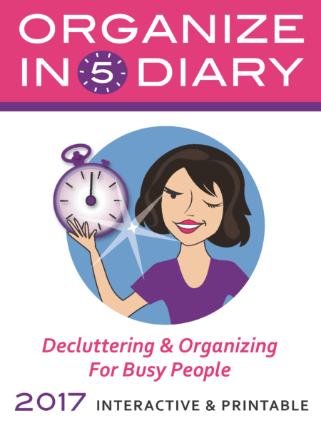 Organize in 5 Diary 2017