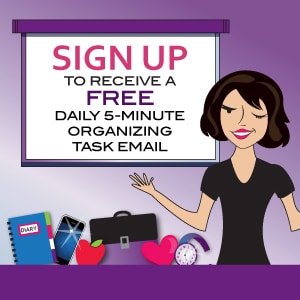 Organize In 5 Daily Organizing task email