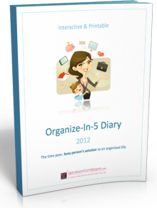 Organize-In-5 Diary